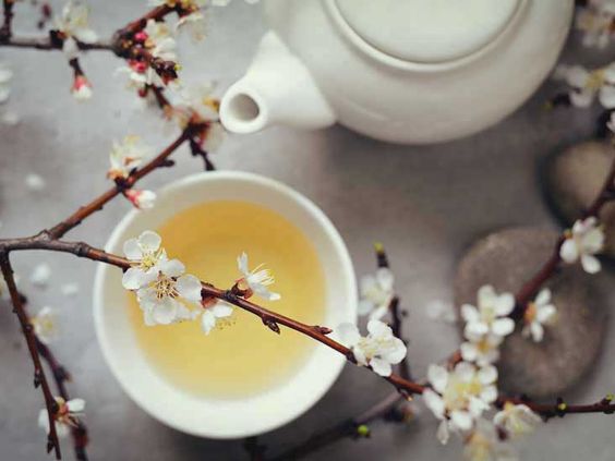 Refreshing Herbal Teas to Stay Cool